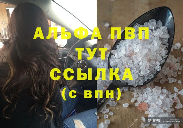 прущие грибы Новодвинск