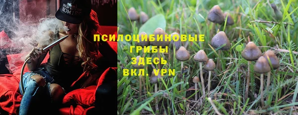 ECSTASY Новозыбков