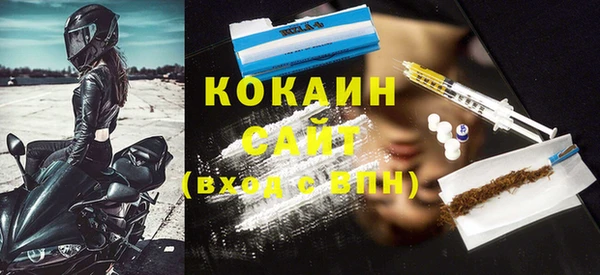 прущие грибы Новодвинск