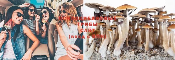 спайс Алзамай