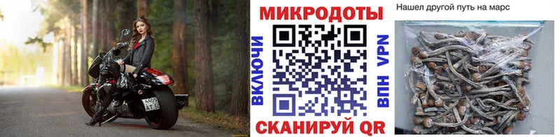 Псилоцибиновые грибы прущие грибы  Сосновка 